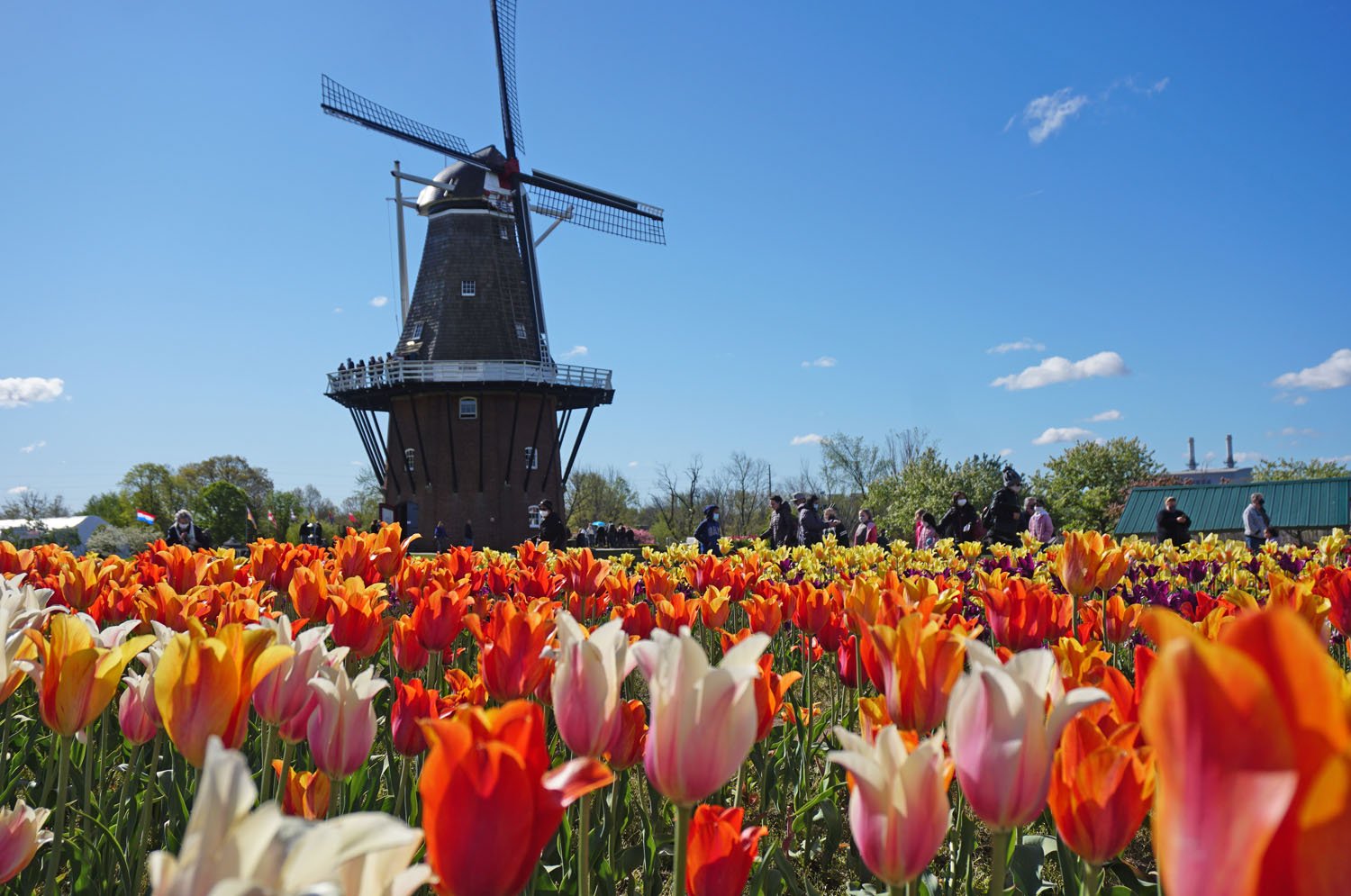 best places to visit in holland michigan